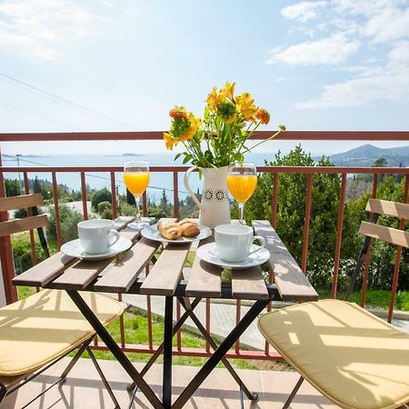 Villa Pergola-Apartment Toni Mlini Kültér fotó